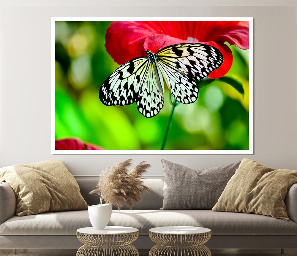 Butterfly Flower Print Poster Wall Art