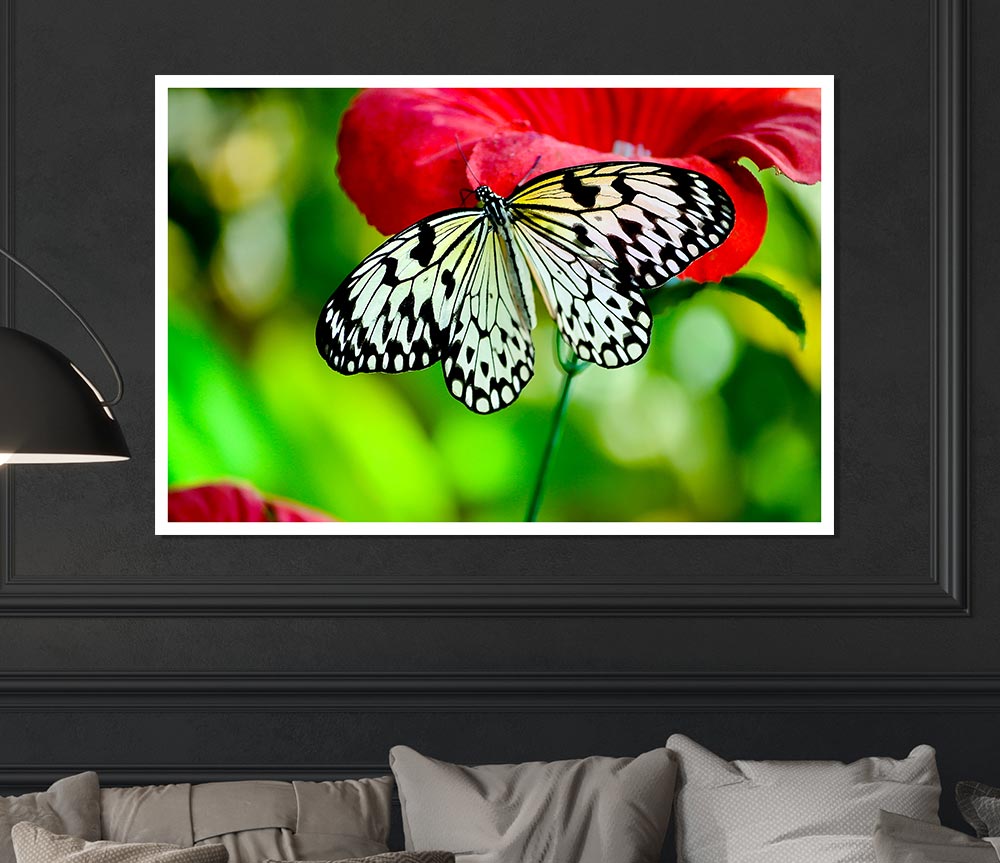 Butterfly Flower Print Poster Wall Art