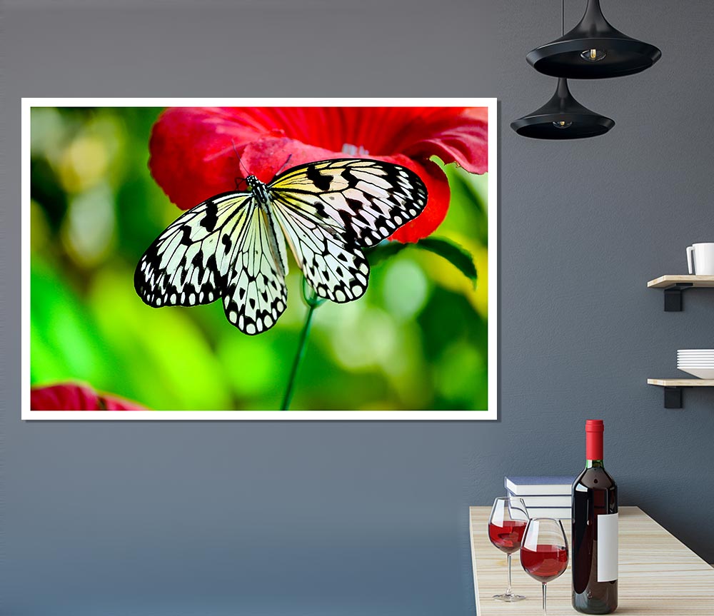 Butterfly Flower Print Poster Wall Art