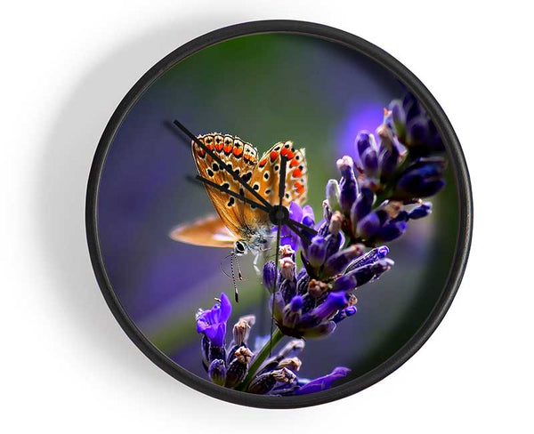 Butterfly On Lavender Flower Clock - Wallart-Direct UK