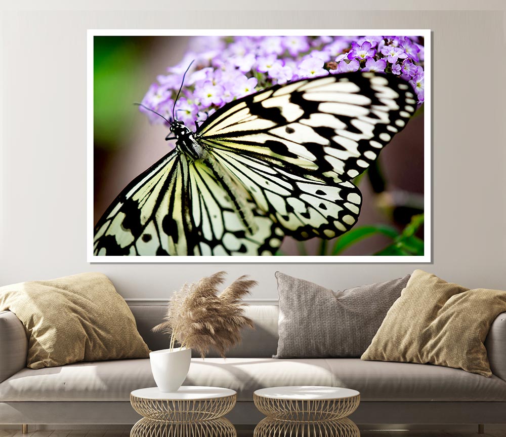 Butterfly Pattern Print Poster Wall Art