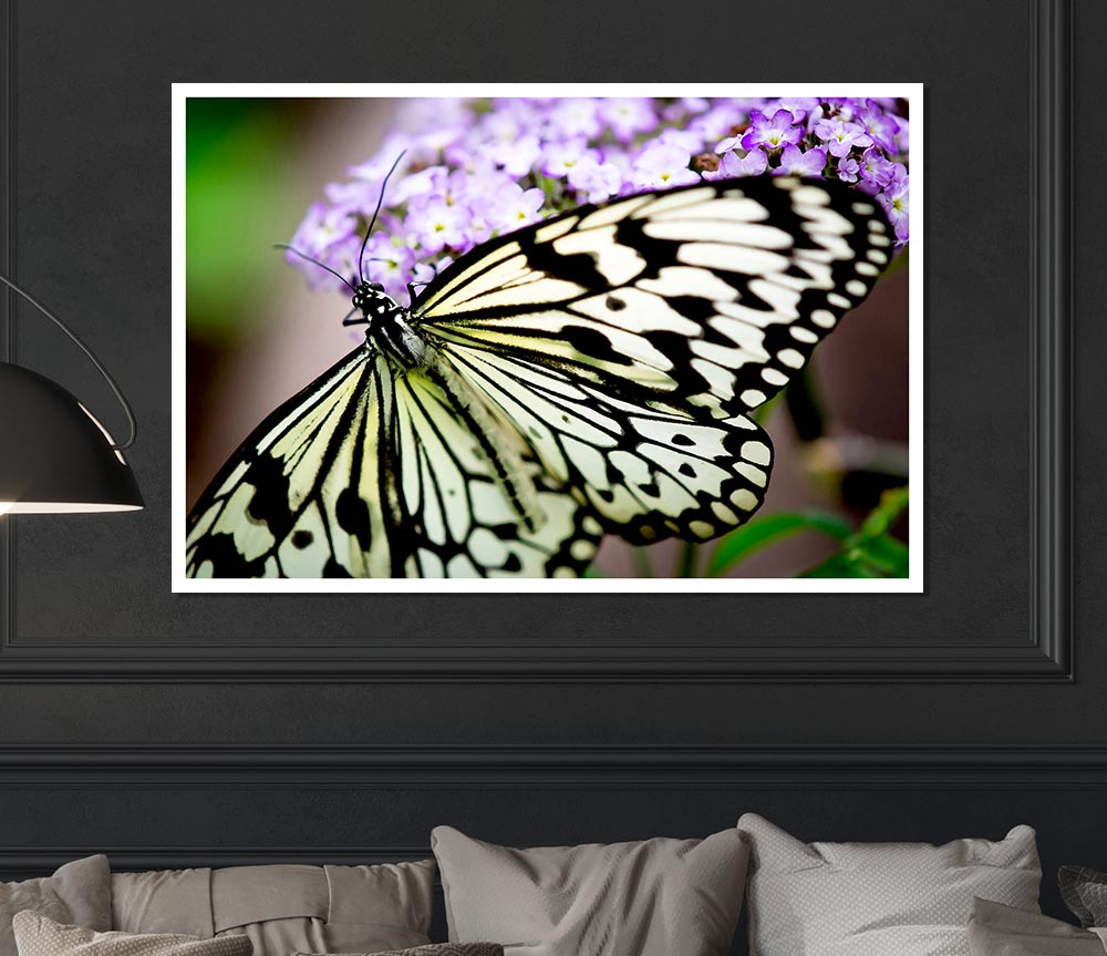 Butterfly Pattern Print Poster Wall Art