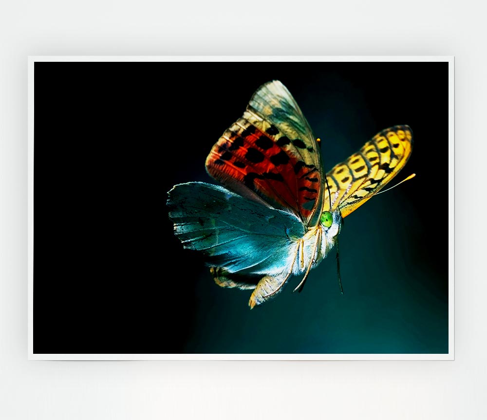 Butterfly Rainbow Print Poster Wall Art