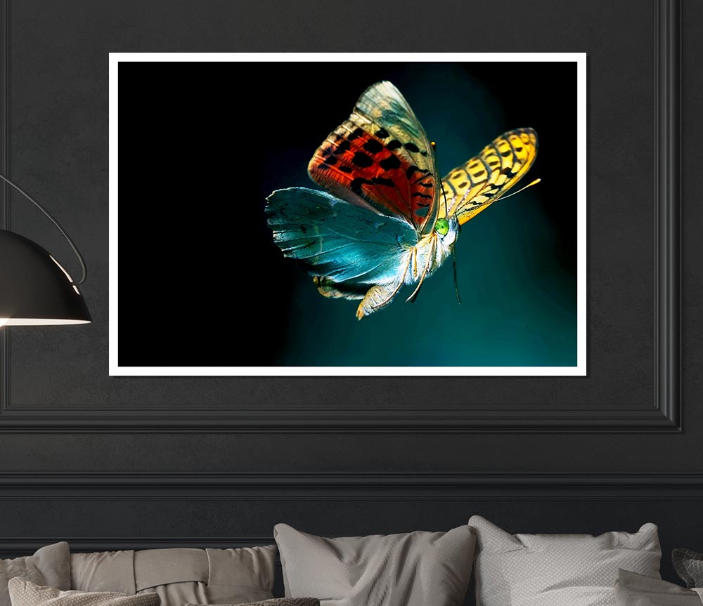 Butterfly Rainbow Print Poster Wall Art