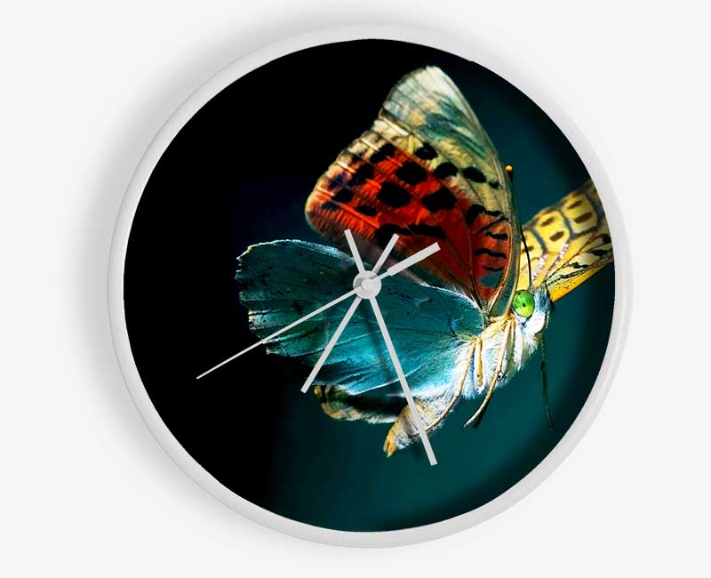 Butterfly Rainbow Clock - Wallart-Direct UK