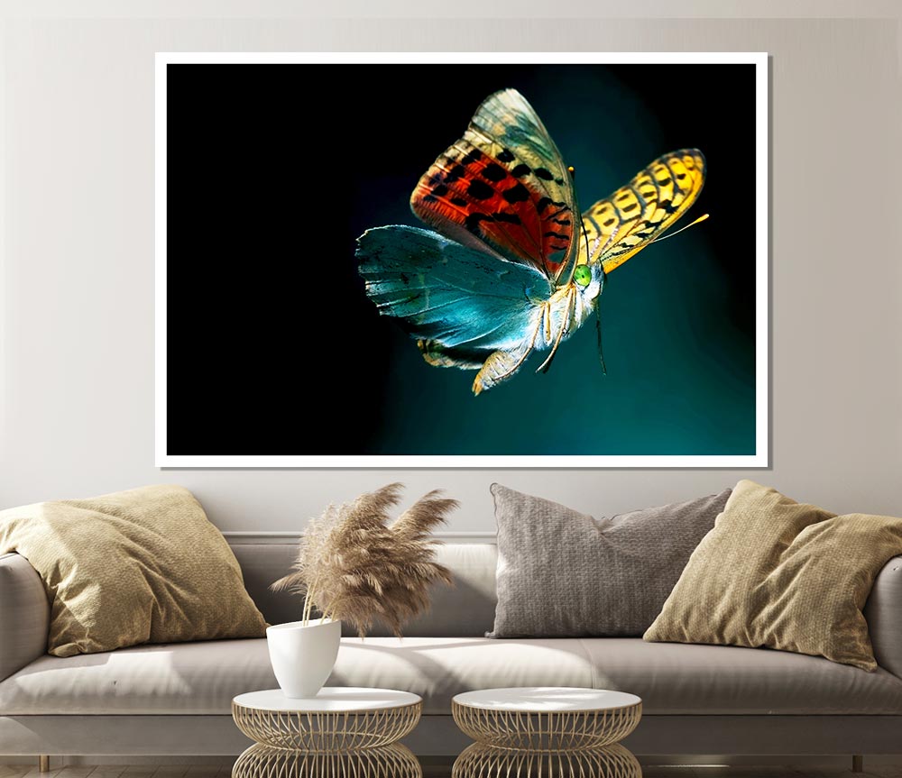 Butterfly Rainbow Print Poster Wall Art