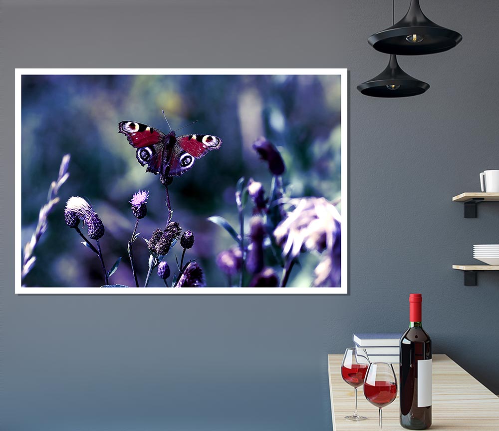 Butterfly With Open Wings Print Poster Wall Art