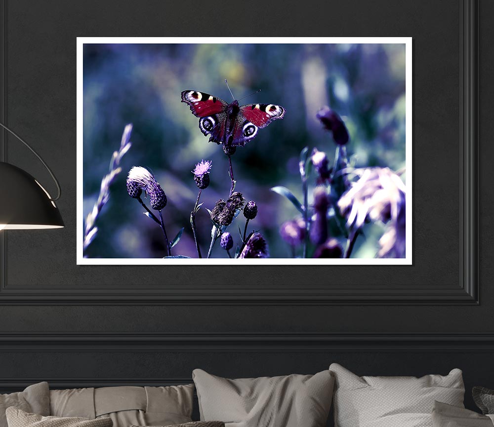 Butterfly With Open Wings Print Poster Wall Art