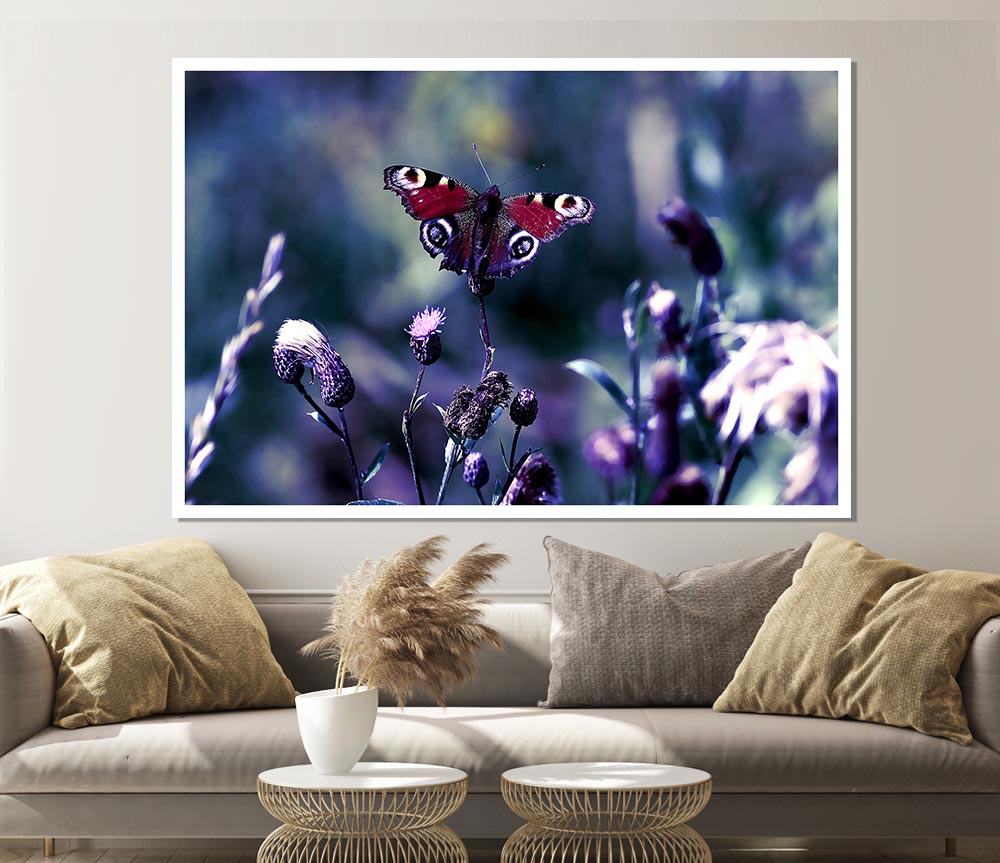 Butterfly With Open Wings Print Poster Wall Art