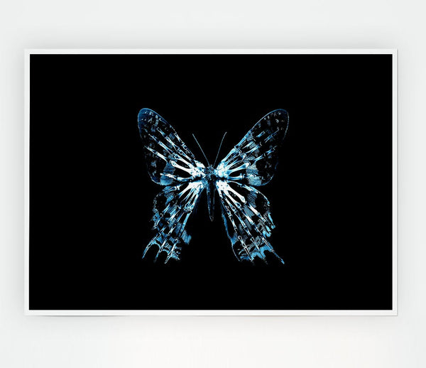 Butterfly X Ray Print Poster Wall Art