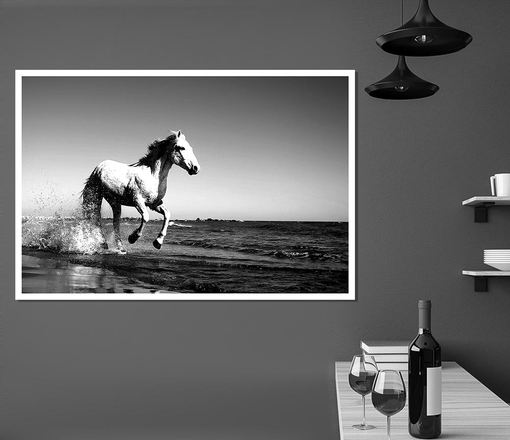 Camargue White Horse Print Poster Wall Art