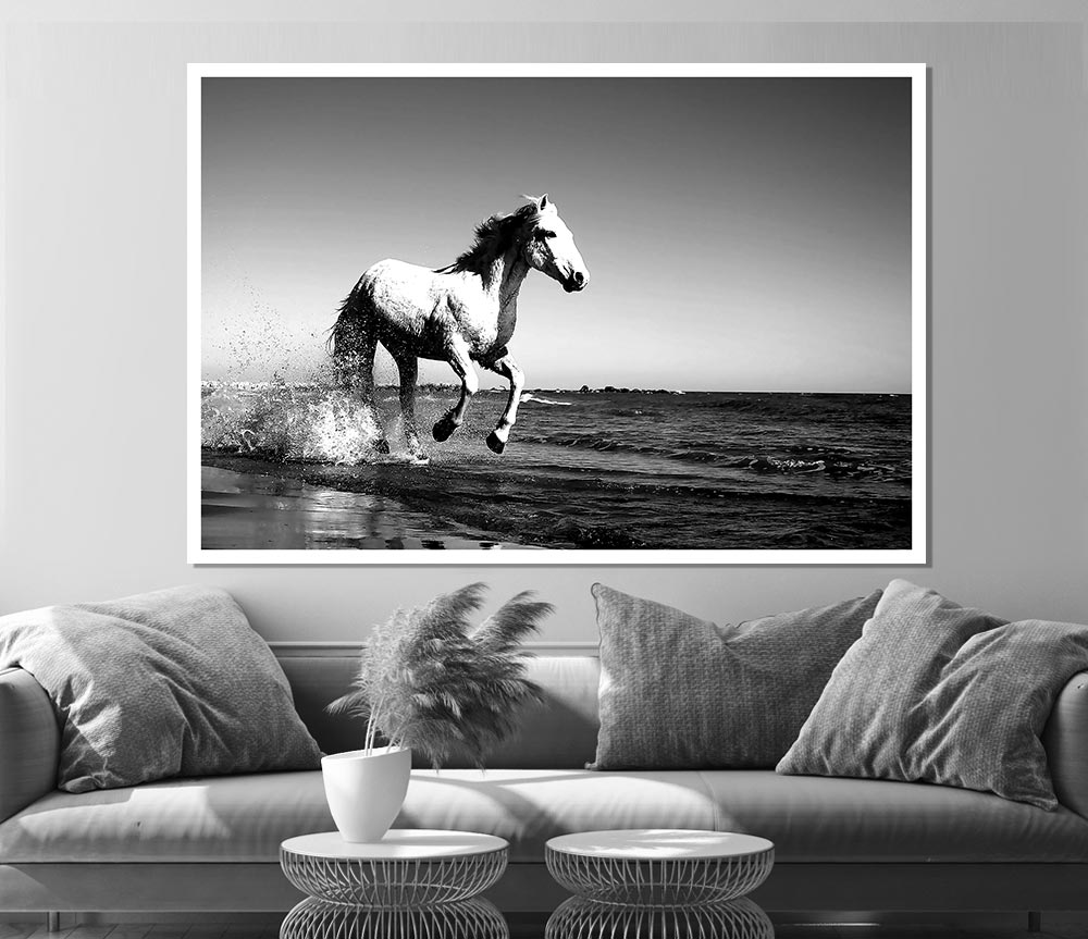 Camargue White Horse Print Poster Wall Art