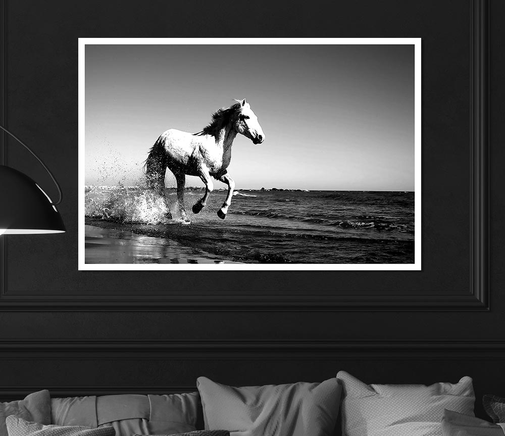 Camargue White Horse Print Poster Wall Art