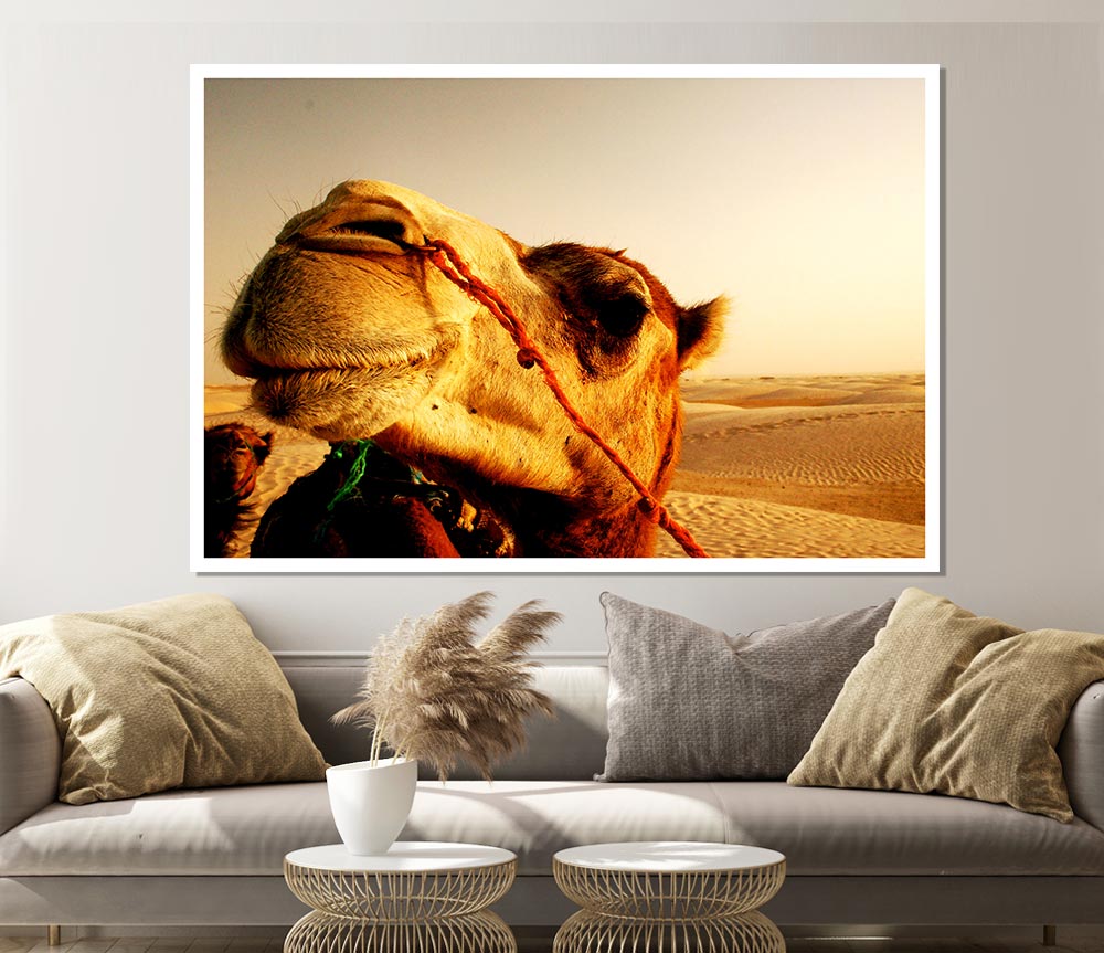 Camel Smile Print Poster Wall Art