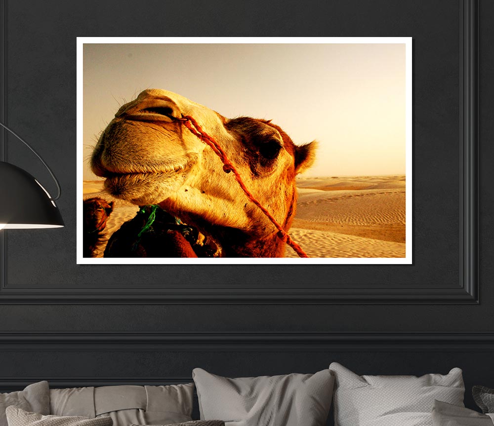 Camel Smile Print Poster Wall Art