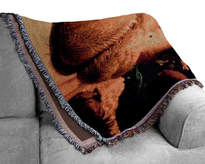 Camel Smile Woven Blanket