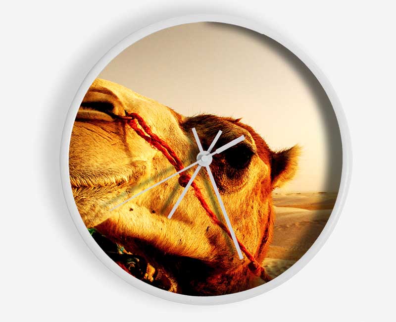 Camel Smile Clock - Wallart-Direct UK