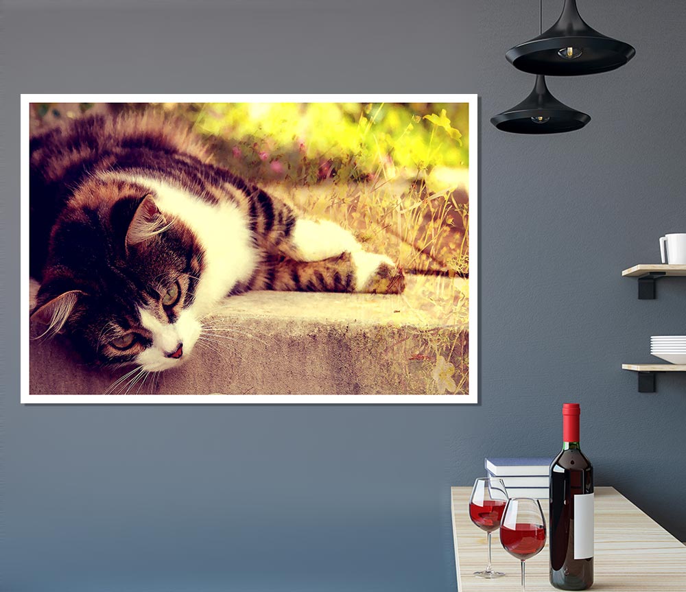 Cat Stillness Print Poster Wall Art