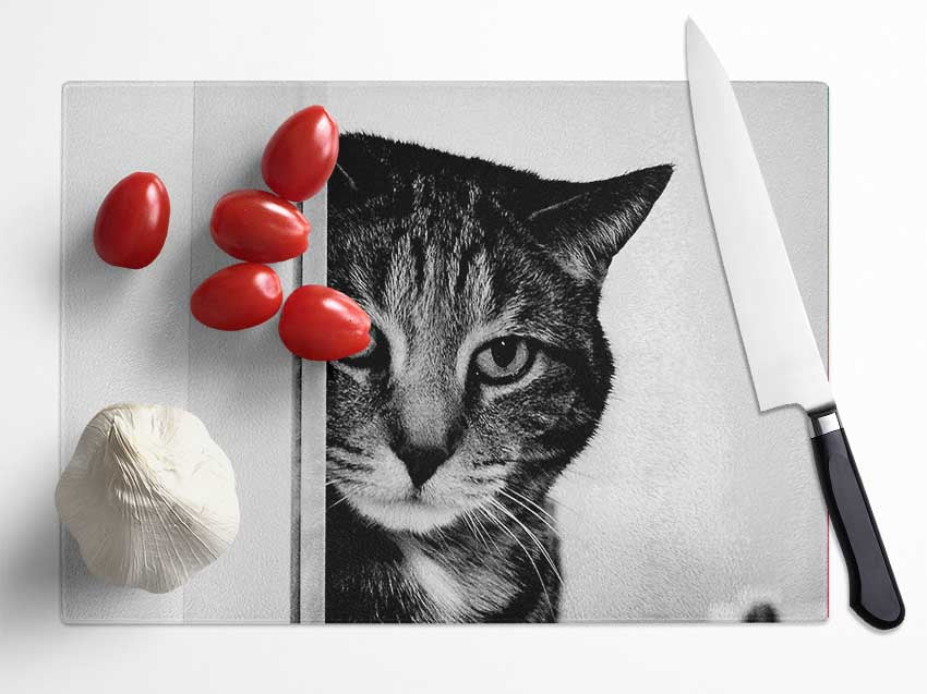 Cat Beauty Glass Chopping Board