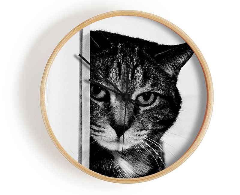 Cat Beauty Clock - Wallart-Direct UK