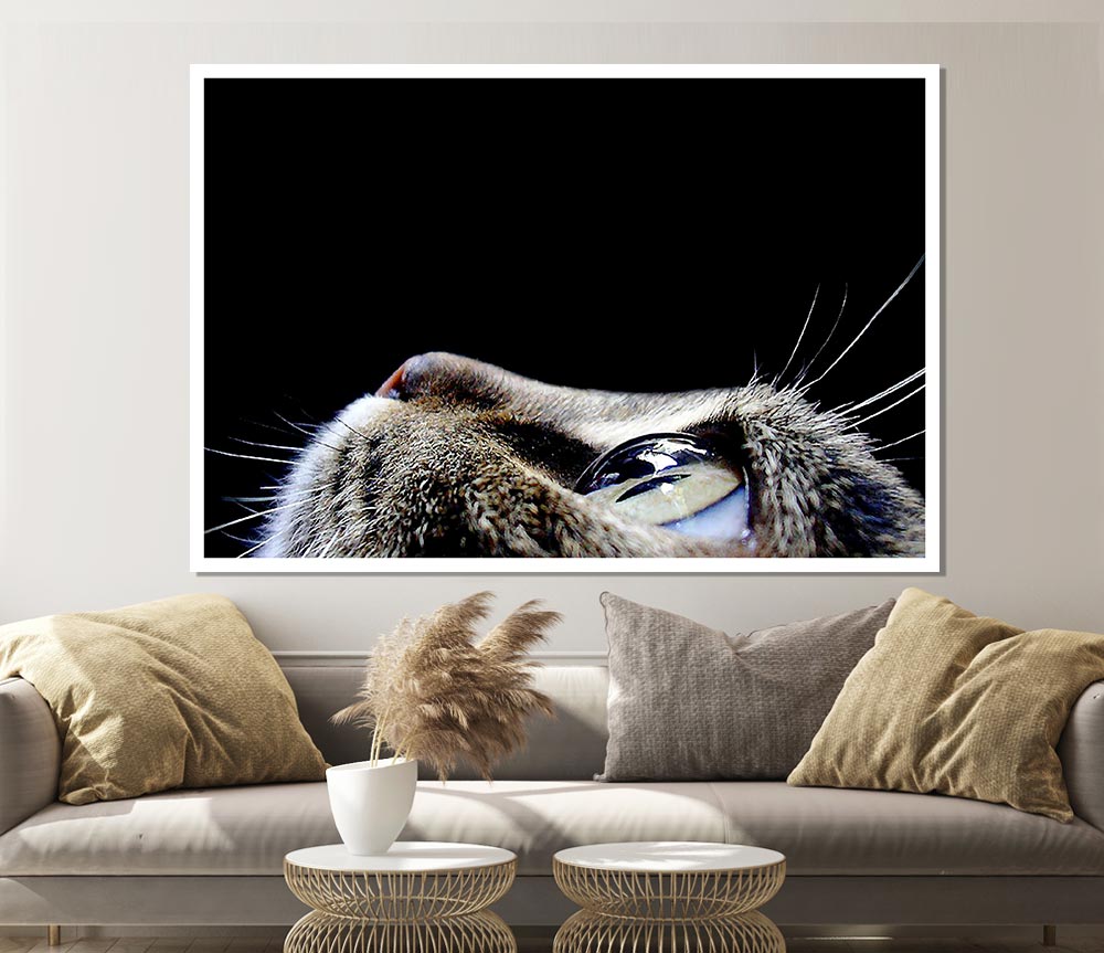 Cat Eyes Print Poster Wall Art