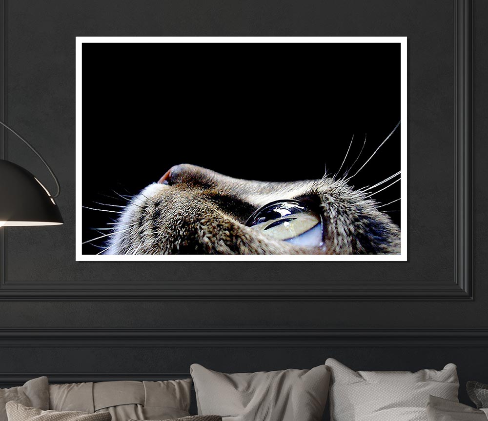 Cat Eyes Print Poster Wall Art