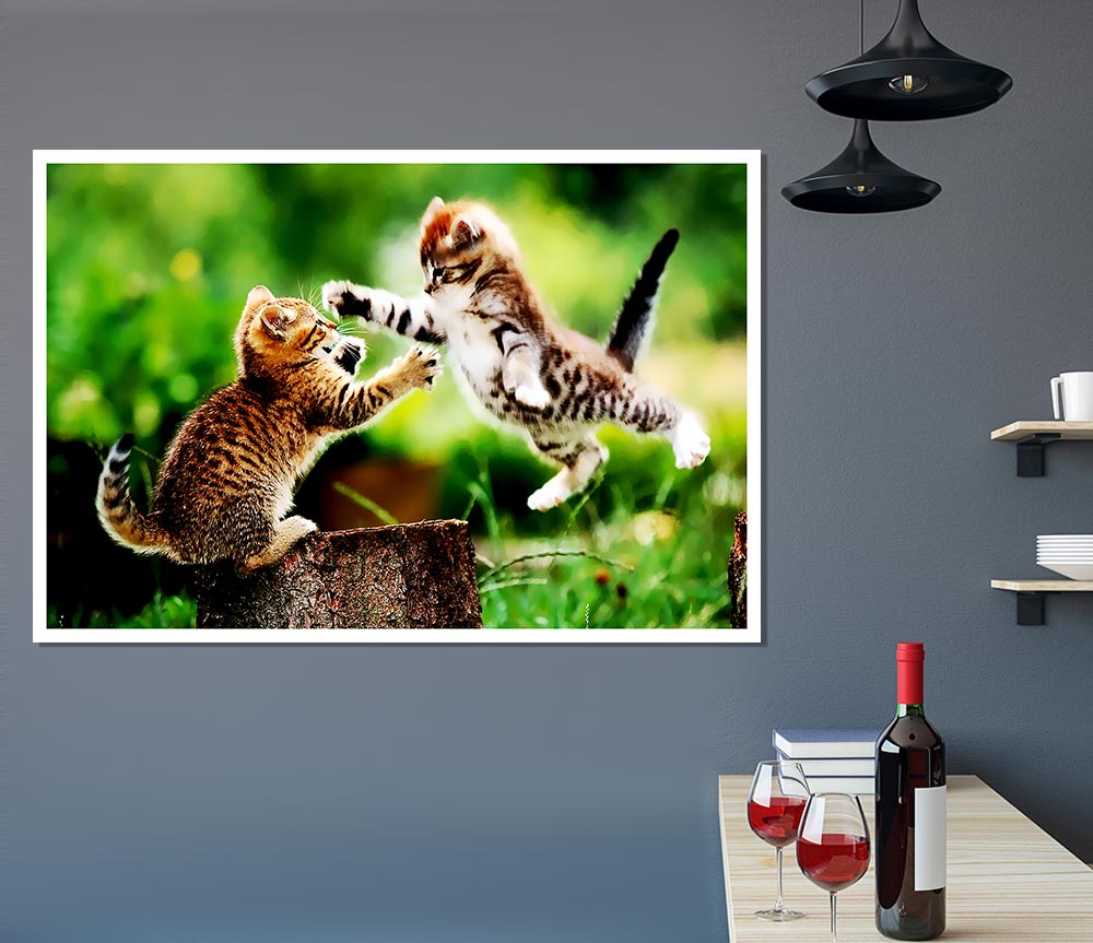 Cat Fight Print Poster Wall Art