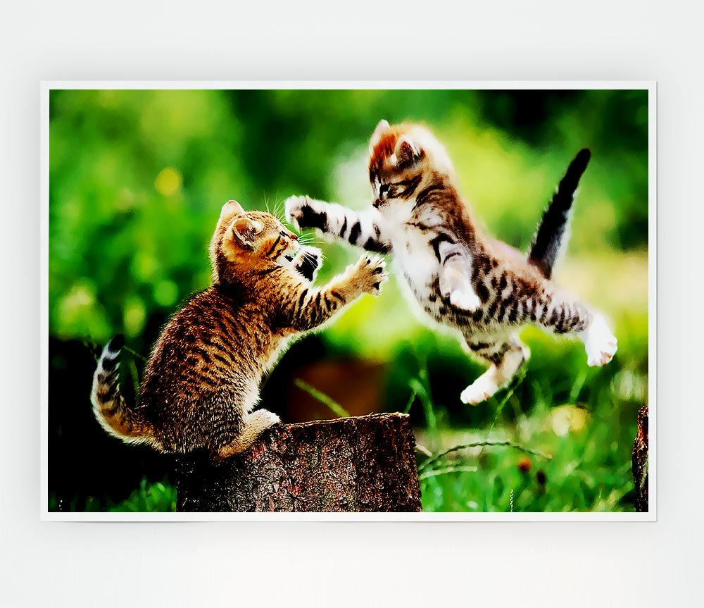 Cat Fight Print Poster Wall Art