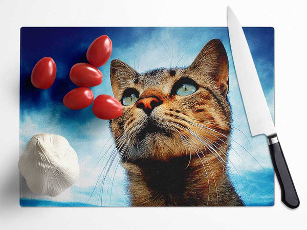 Cat Hunting Glass Chopping Board