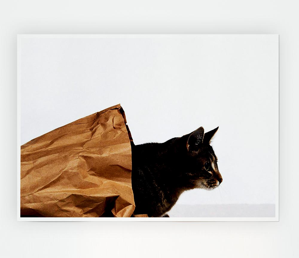 Cat In A Bag Print Poster Wall Art