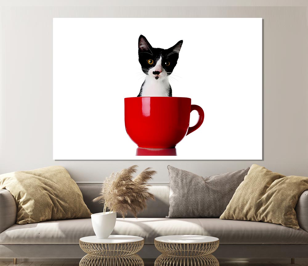 Cat In A Tea Cup Print Poster Wall Art