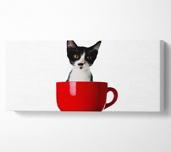 Cat In A Tea Cup