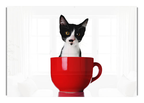 Katze in einer Teetasse