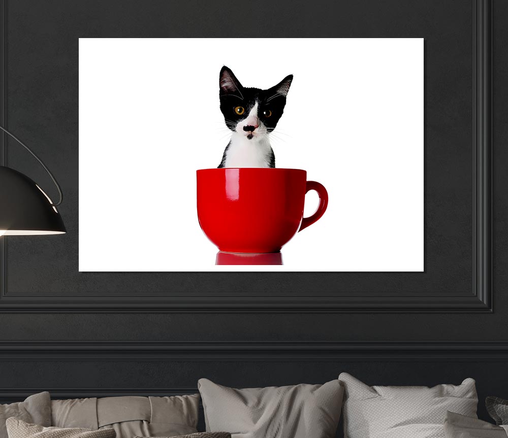 Cat In A Tea Cup Print Poster Wall Art