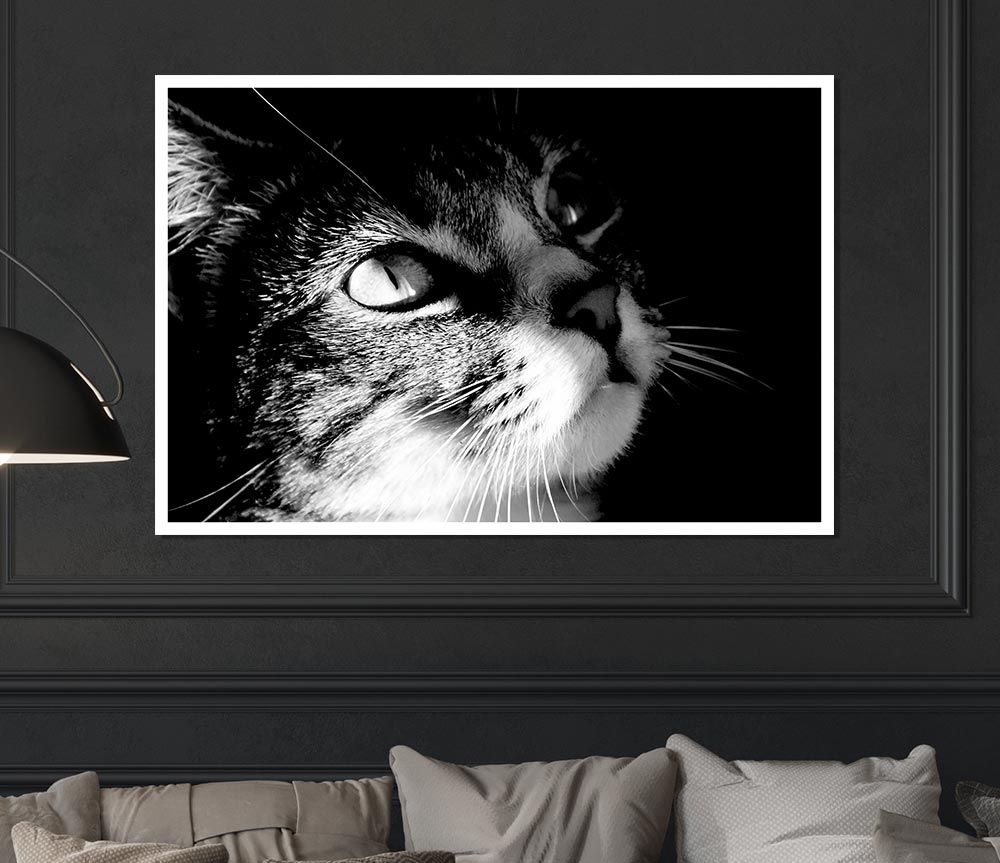 Cat Love Print Poster Wall Art