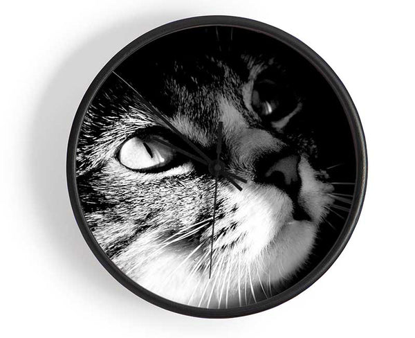 Cat Love Clock - Wallart-Direct UK