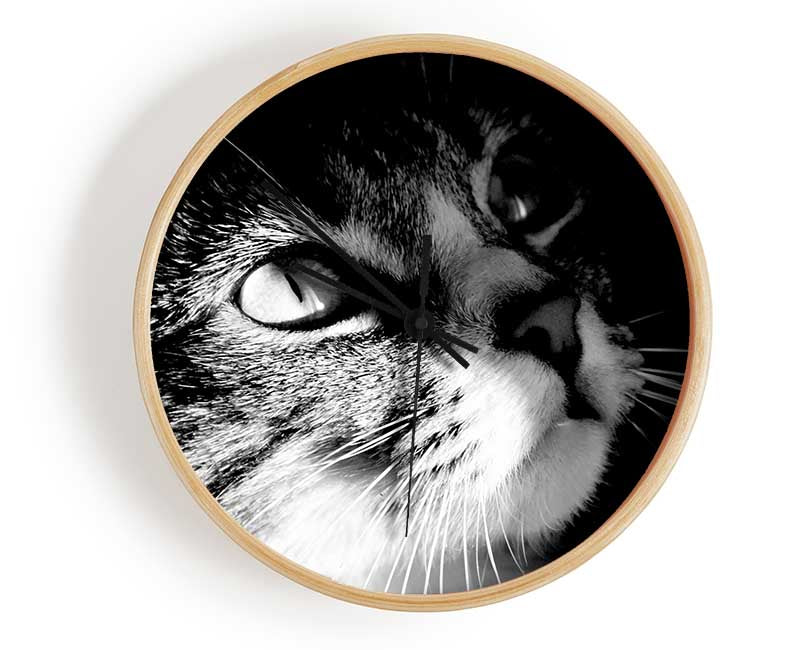 Cat Love Clock - Wallart-Direct UK