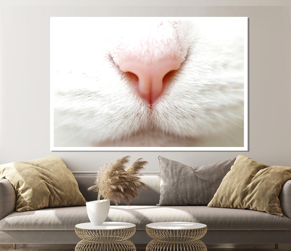 Cat Nose 2 Print Poster Wall Art