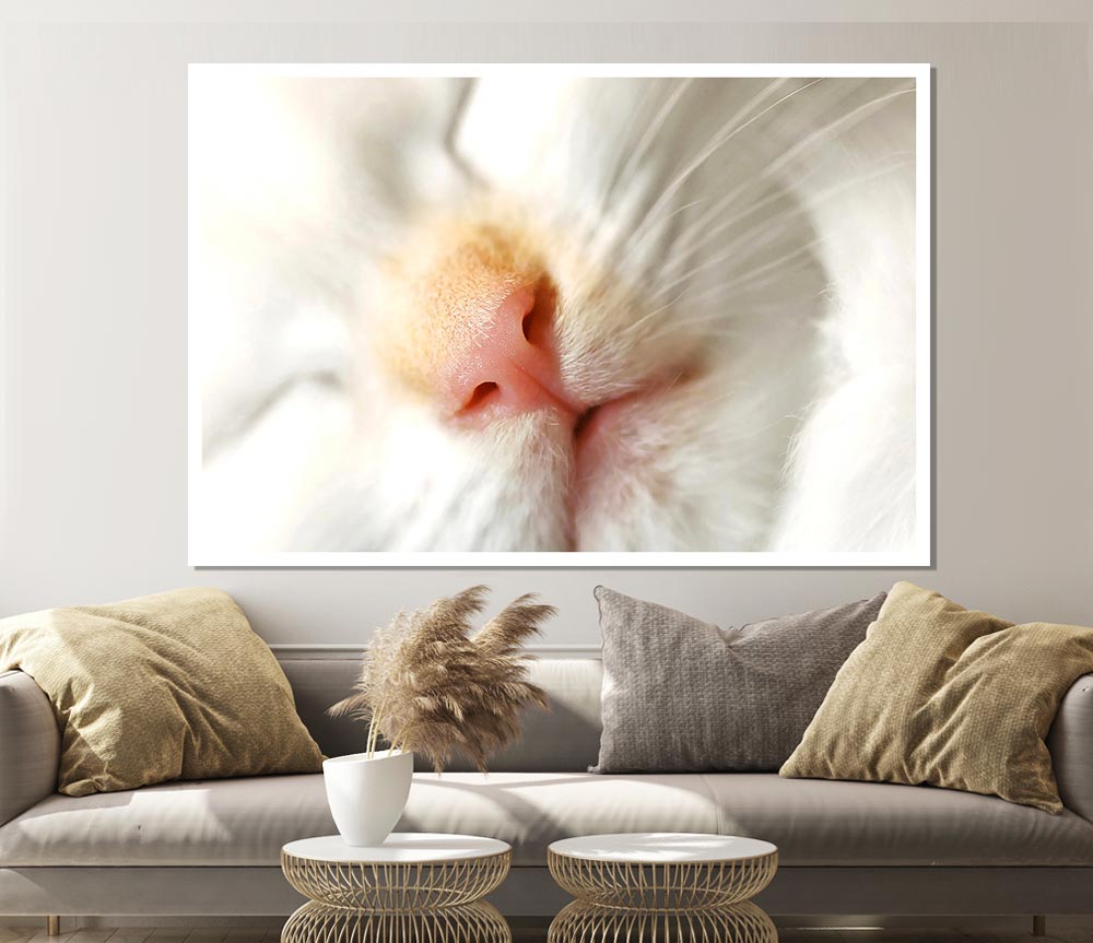 Cat Nose Print Poster Wall Art