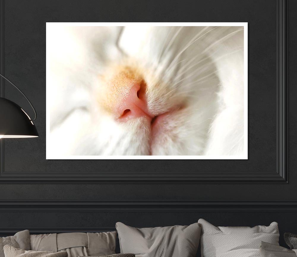 Cat Nose Print Poster Wall Art