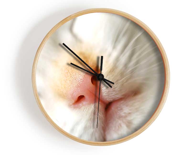 Cat Nose Clock - Wallart-Direct UK