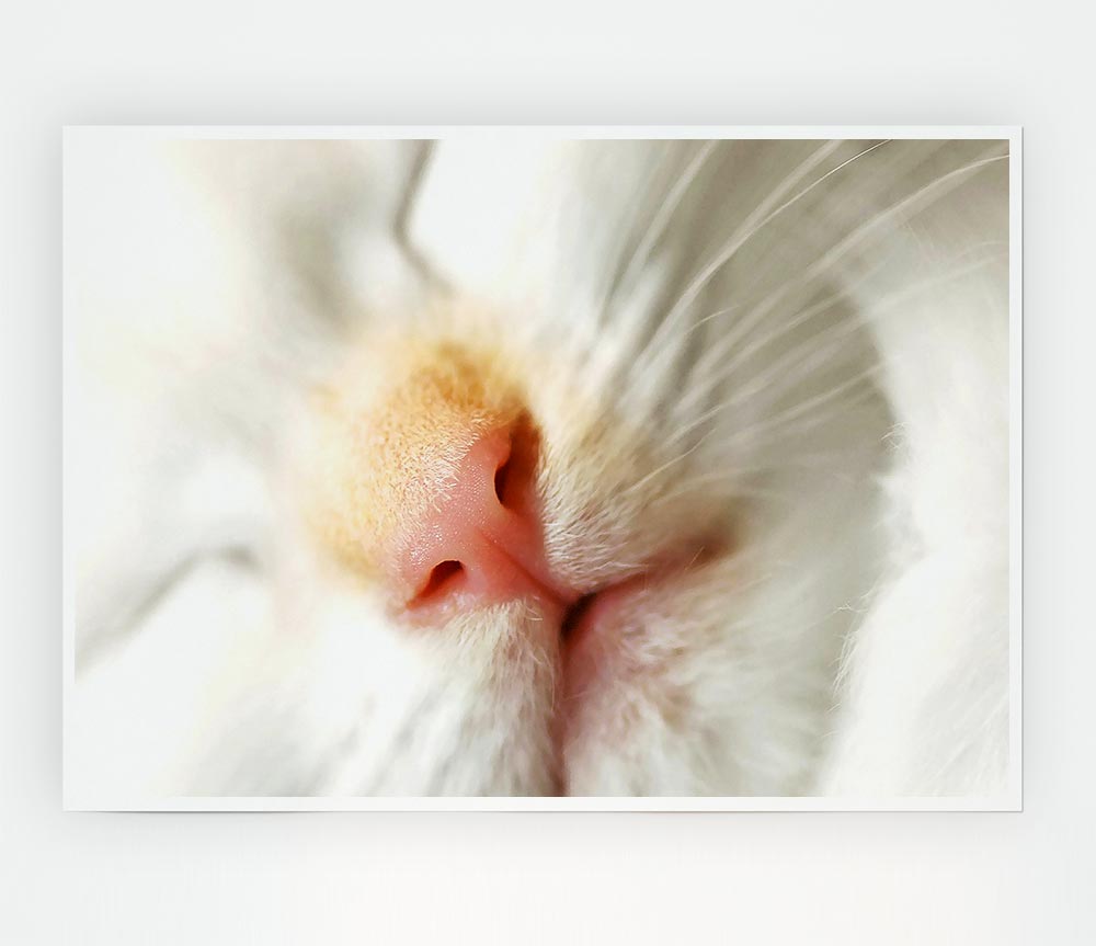 Cat Nose Print Poster Wall Art