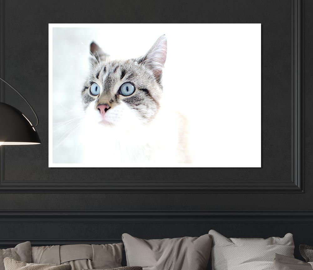 Cat Snow Print Poster Wall Art