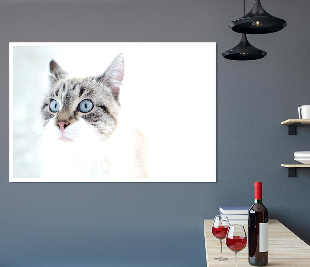 Cat Snow Print Poster Wall Art