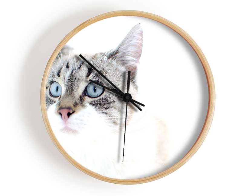 Cat Snow Clock - Wallart-Direct UK