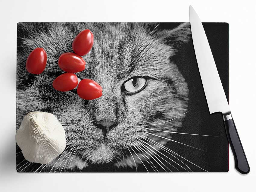 Cat Stare Glass Chopping Board