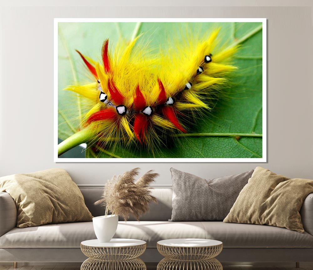 Caterpillar Beauty Print Poster Wall Art