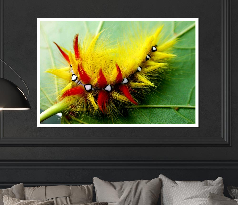 Caterpillar Beauty Print Poster Wall Art