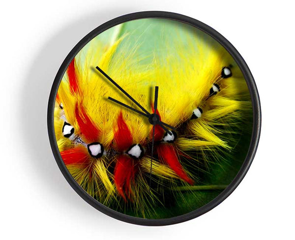 Caterpillar Beauty Clock - Wallart-Direct UK