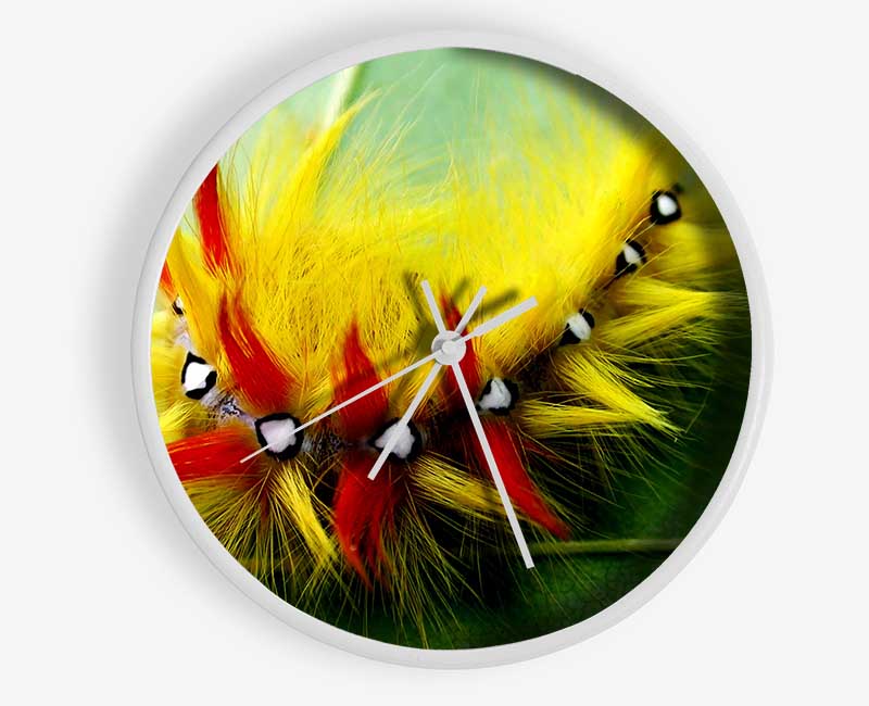 Caterpillar Beauty Clock - Wallart-Direct UK